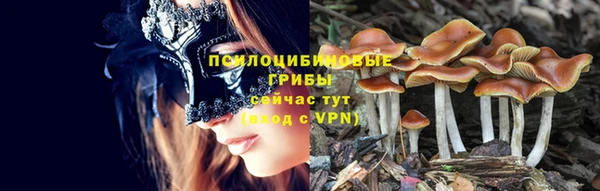 спайс Абдулино