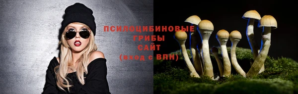 СК Алексин