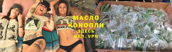 СК Алексин