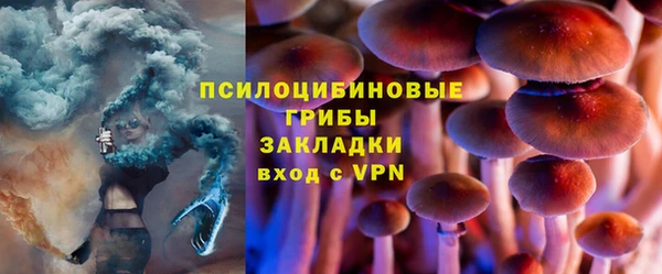 сатива Алексеевка