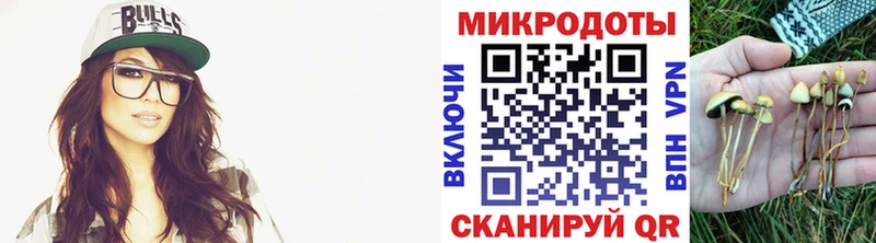 Галлюциногенные грибы прущие грибы  купить наркотики цена  Архангельск 